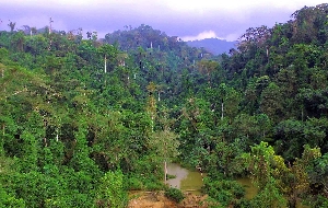 Atewa forest range
