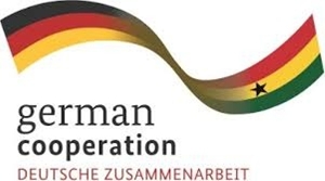 GIZ logo