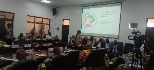 The Administrator of the Ghana Medical Trust Fund, Obuobia Darko-Opoku, speaks to National House of Chiefs