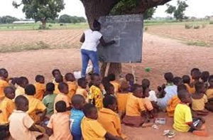 Pupils studying under trees