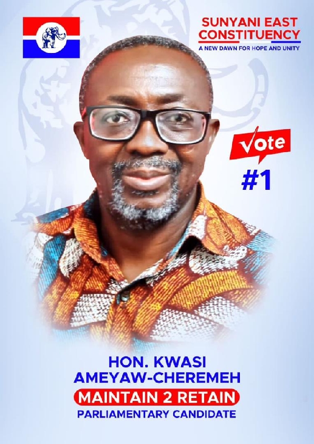 Kwesi Ameyaw Cheremeh Wins Sunyani East Primary Politics 33082110 