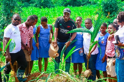 MP Edem Agbana planting trees in his Ketu North constituency