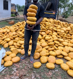 The seize narcotics in Oti Region