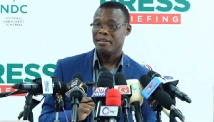 Fifi Kwetey, NDC General Secretary