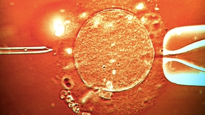 Shutterstock (Pic): The donor's sperm was used in clinics across Europe (stock image)