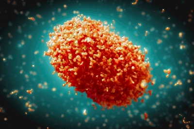 MPox virus